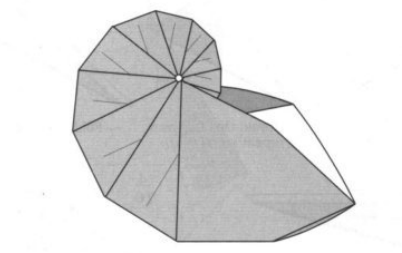 origami shell instructions diagrams