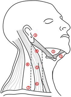 Injury to lymph nodes how to detect