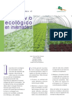 Manual cultivo de sandia pdf