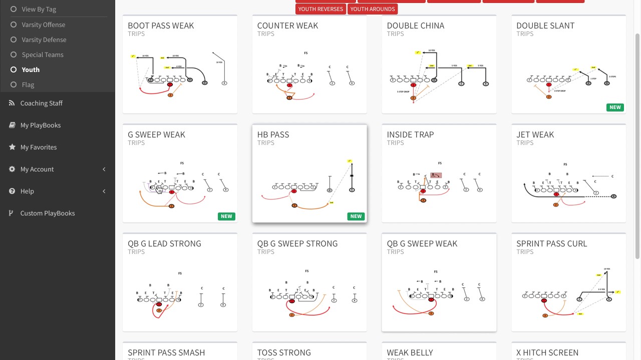 Youth football i formation playbook pdf
